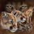 5D Diamond Painting Mountain Lion Collage Kit