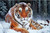 5D Diamond Painting Tiger in the Snow Kit