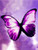 5D Diamond Painting Big Purple Butterfly Kit