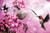 5D Diamond Painting Pink Flower Hummingbird Kit