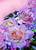 5D Diamond Painting Pink and Purple Roses Kit