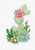 5D Diamond Painting Cactus Kit