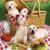 5D Diamond Painting Puppies Kit