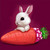 5D Diamond Painting Little Bunny Carrot Kit