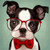 5D Diamond Painting Red Glasses Puppy Kit
