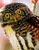 5D Diamond Painting Yellow Eye Owl Kit