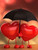 5D Diamond Painting Two Hearts Umbrella Kit