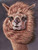 5D Diamond Painting Brown Alpaca Kit