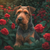 5D Diamond Painting Airedale in the Red Roses Kit