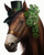 5D Diamond Painting Top Hat Horse Kit