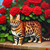 5D Diamond Painting Bengal Cat and Red Roses Kit