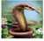 5D Diamond Painting Cobra Snake Kit