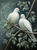 5D Diamond Painting Doves in the Branches Kit