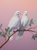 5D Diamond Painting Two White Doves on a Branch Kit