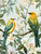 5D Diamond Painting Two Green Birds Kit