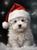 5D Diamond Painting Fluffy White Christmas Puppy Kit