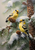 5D Diamond Painting Two Yellow Birds and Pine Cones Kit