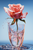 5D Diamond Painting Glass of Water and Rose Kit