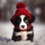 5D Diamond Painting Red Snow Cap Puppy Kit