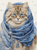 5D Diamond Painting Russian Scarf Cat Kit