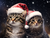 5D Diamond Painting Striped Santa Hat Cats Kit