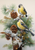 5D Diamond Painting Pine Cones and Yellow Birds Kit