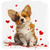 5D Diamond Painting Corgi Red Hearts Kit