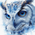 5D Diamond Painting Blue Eye Blue Owl Face Kit