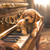 5D Diamond Painting Puppy on the Piano Kit