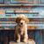 5D Diamond Painting Puppy and Abstract Painted Piano Kit