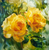 5D Diamond Painting Wavy Water Yellow Roses Kit