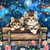 5D Diamond Painting Two Kittens on a Wood Bench Kit