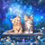 5D Diamond Painting Two Kittens on a Bench Kit