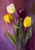 5D Diamond Painting Purple Background Four Tulips Kit