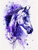 5D Diamond Painting Dark Purple Splatter Horse Kit