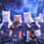 5D Diamond Painting Orange and White Kittens on a Fence Kit