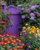 5D Diamond Painting Purple Gate Flowers Kit