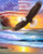 5D Diamond Painting American Flag Eagle and Ocean Kit