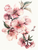 5D Diamond Painting Watercolor Peach Blossoms Kit