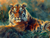 5D Diamond Painting Misty Background Tiger Kit