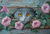 5D Diamond Painting Grey Cat Peekaboo Kit