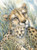 5D Diamond Painting Two Abstract cheetahs Kit