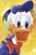 5D Diamond Painting Donald Duck Watercolor Kit