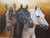 5D Diamond Painting Three Horses Kit
