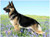 5D Diamond Painting German Shepherd in Flowers