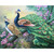 5D Diamond Painting Two Peacocks Kit