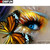 5D Diamond Painting Gold Butterfly Eye Kit