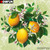 5D Diamond Painting Bunch of Lemons kit