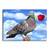 5D Diamond Painting Red Rose Pigeon Kit