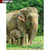 5D Diamond Painting Elephants Eating Kit